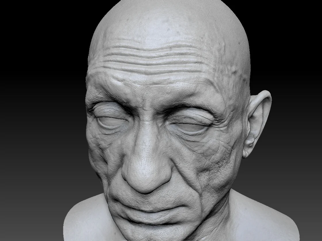 Human heads and FACS scans Render